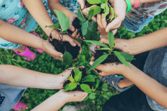 Paulo Augusto Berchielli