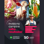 SG Consórcios