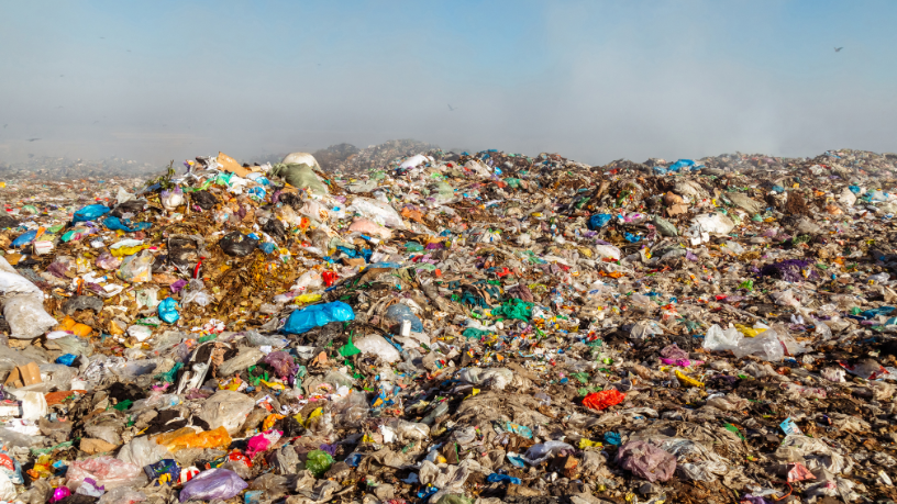 Segundo Odair Jose Mannrich, compreender essas estruturas é essencial para avançar na gestão ambiental.