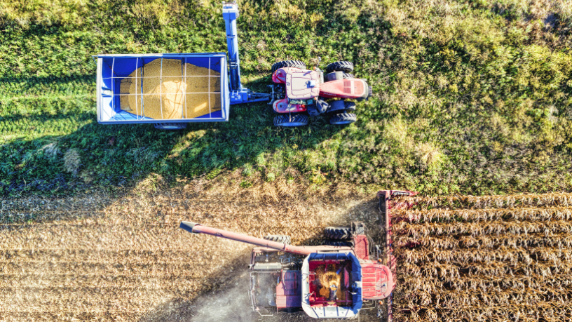 Alfredo Moreira Filho
