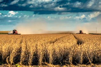 Alfredo Moreira Filho