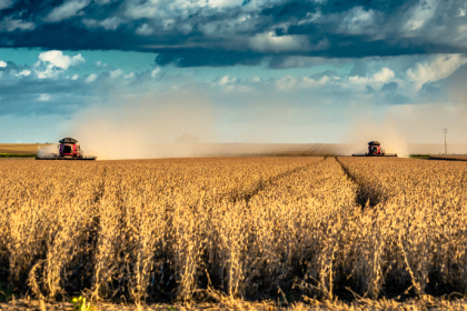 Alfredo Moreira Filho