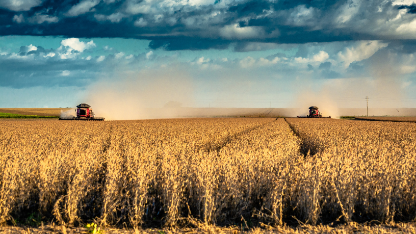 Alfredo Moreira Filho